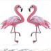 Patch: Big Flamingos left or right facing Patch: Big Flamingos left or right facing