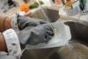 Gloves: Natural Latex Cleaning by Full Circle Colour Gloves: Natural Latex Cleaning by Full Circle Colour