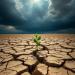 Cracked earth with a seedling growing under a bright cloudburst