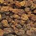 Myrrh Gum, Wildcrafted Resin close up