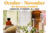 Workshop Schedule: Oct-Nov 4x6