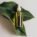 photo of a clear glass bottle overtop two green leaves