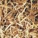 Nettle, Stinging, Root C/S, sold by the gram Nettle, Stinging, Root C/S, sold by the gram