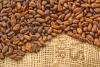 ChocoSol: Cacao Beans, Raw or Roasted, 250g bag ChocoSol: Cacao Beans, Raw or Roasted, 250g bag