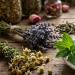 dried flowers for Anarres' Herbal Smoking Blend dried flowers for Anarres' Herbal Smoking Blend