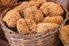 Sponge: Natural Mediterranean Sea Sponge: Natural Mediterranean Sea