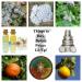 Things to Buy Before Prices Go Up!