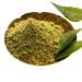 A bowl of neem leaf powder with fresh neem leaves
