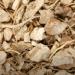 yam roots cut and sifted