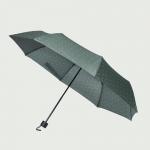 Umbrella: Le Frenchy Dotted open