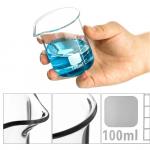 Glass Beakers in 100mL details