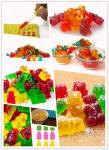 Mold: Silicone Gummy Bear 50 Cavity candies
