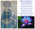 Blue Lotus Dried Flowers_Anarres
