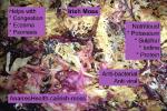 Irish_Moss_Anarres_POST
