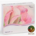 Dilator: Silicone, Vagiwell Vaginal Set of 3 Largest box