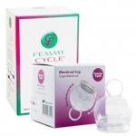 Femmy_Cycle_Menstrual_Cup_Anarres box