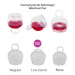 Menstrual Health: Spill Proof Femmy Cycle sizes