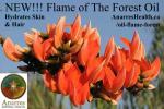 Flame_Forest_Oil_Anarres_Post