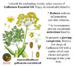 Ferula galbaniflua Galbanum in flower post