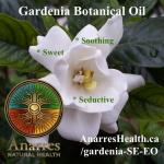 Post for Gardenia Social Enterprise Essential Oil