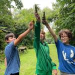 Herbal Wands made at Naivelt Magic Weekend 2024