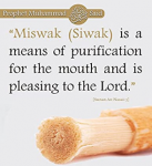  Toothbrush, Sewak Miswak Sticks quote