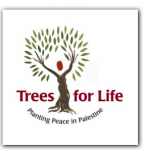 Donations and Tips for Olive Trees