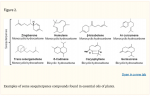 Fig 2 Examples of some sesquiterpenes compounds found in essential oils of plant