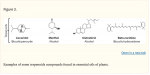 Fig 3 Examples of some terpenoids compounds found in essential oils of plants.