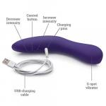 We-Vibe Rave diagram