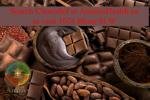 AllSeason_Chocolate_Anarres post