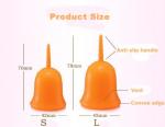 Menstrual Health: Cup Silicone Anytime in Small or Large SL