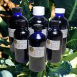 Bottled Oils for sale!