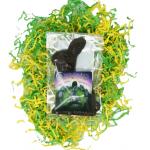 ChocoSol: Chocolate Bunnies, 90g LIMITED EDITION!