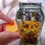 Calendula officinalis collage with balm and a mason jar