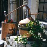 Essential Oils, Blends, Perfumes & Incences Essential Oils, Blends, Perfumes & Incences