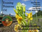 evening_primrose_oil_Anarres 500x