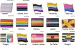 Pin: Pride Flags 2