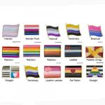 Pin: Pride Flags 2