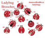 Brooch: Ladybugs numbers