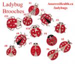  Ladybugs numbers