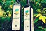Oil: Olive Extra Virgin Organic, from Zatoun, 500mL green