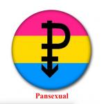 Button: Proud pansexual