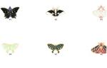  Enamel Butterflies and Moths 1-6
