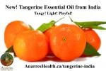 Tangerine Essential Oil India_post