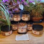 Anarres Twilight Delight Tea 8 jars arranged under house plants #2
