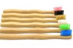 Toothbrush: Bamboo Tooth Brush with Bamboo Bristles *99% Biodegradable line