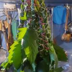 valerian wands