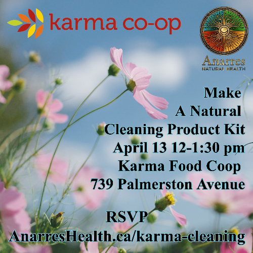 Workshop: DIY Natural Cleaning Products at Karma Coop | Anarres Natural ...